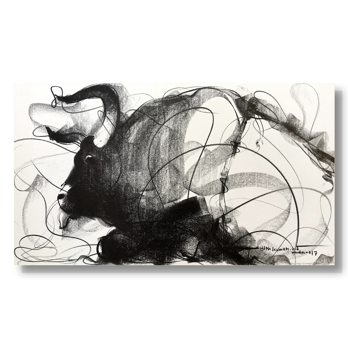 Bull Drawing-648
