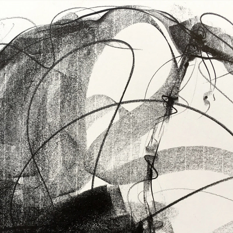 Bull Drawing-648