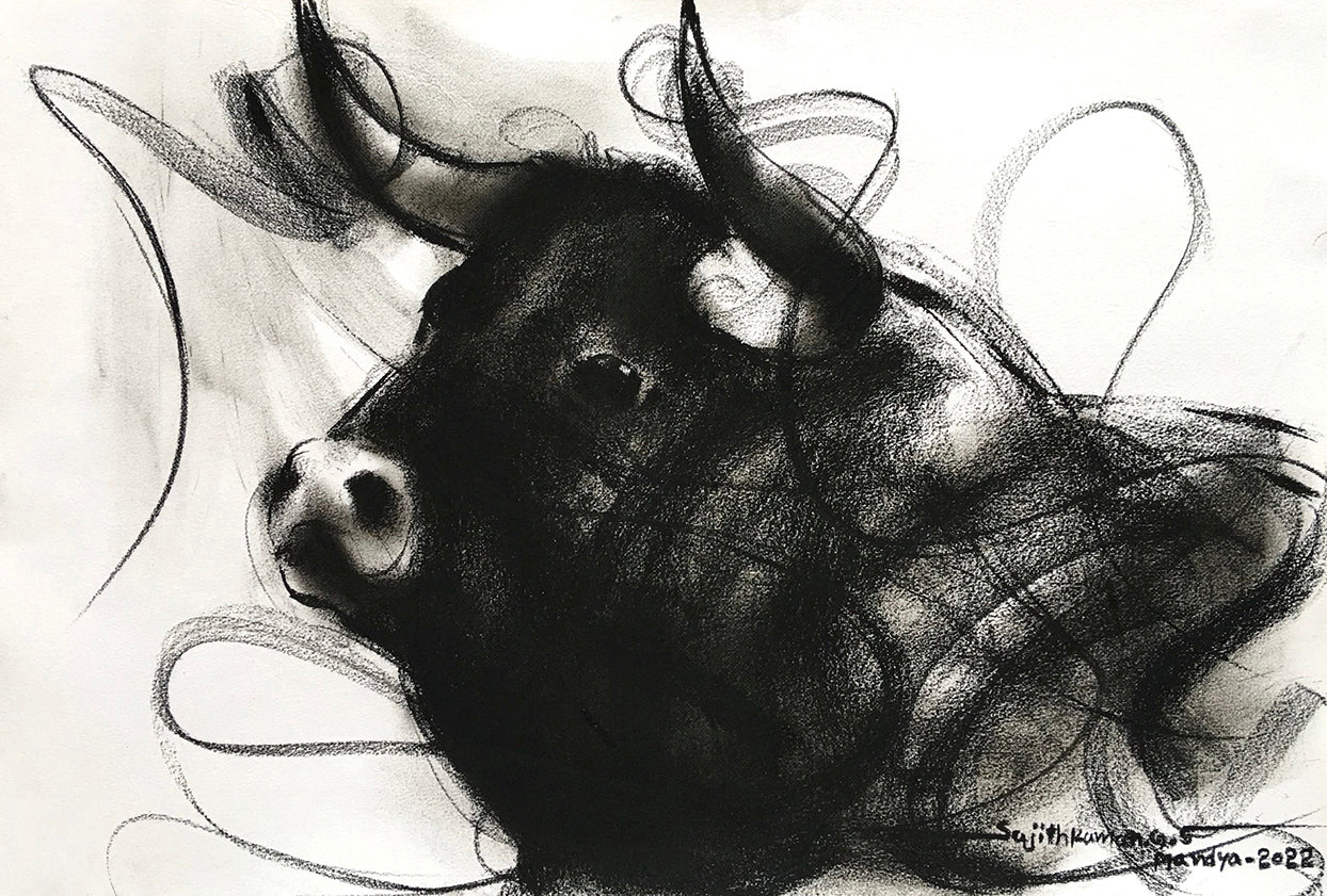 Bull Drawing-973