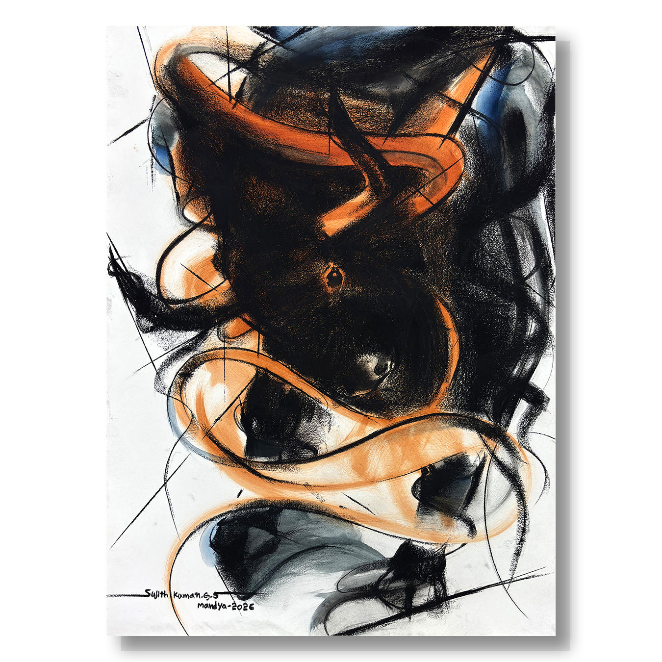 Bull Drawing-1003