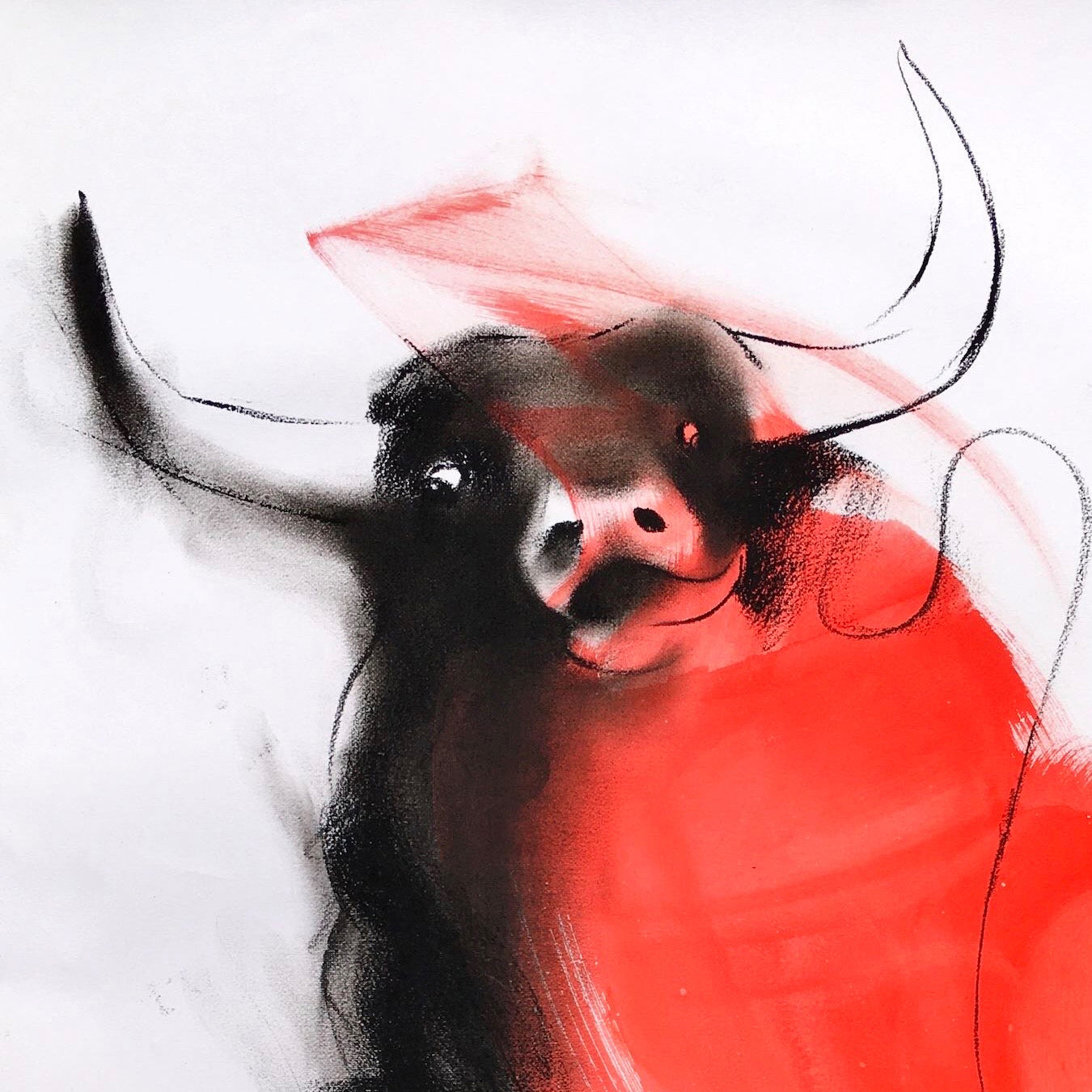 Bull-976