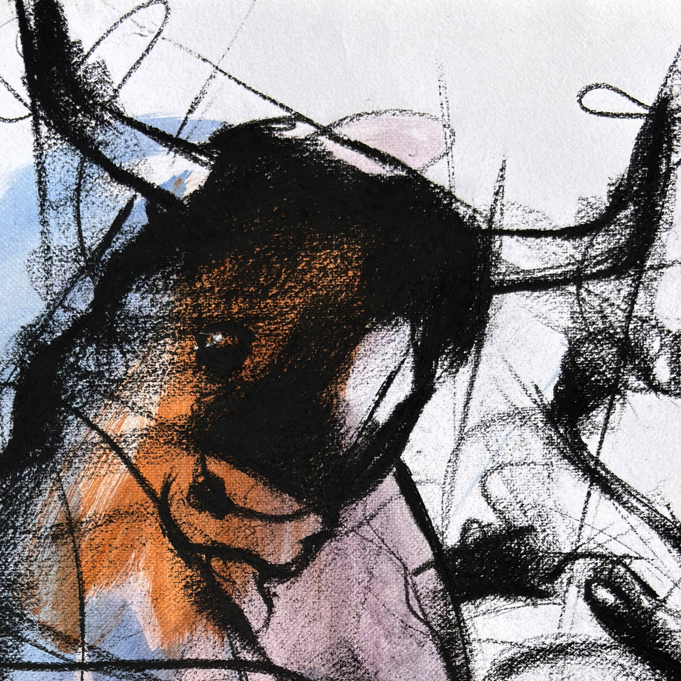 Bull-996