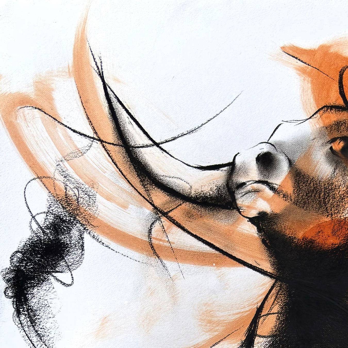 Bull-998