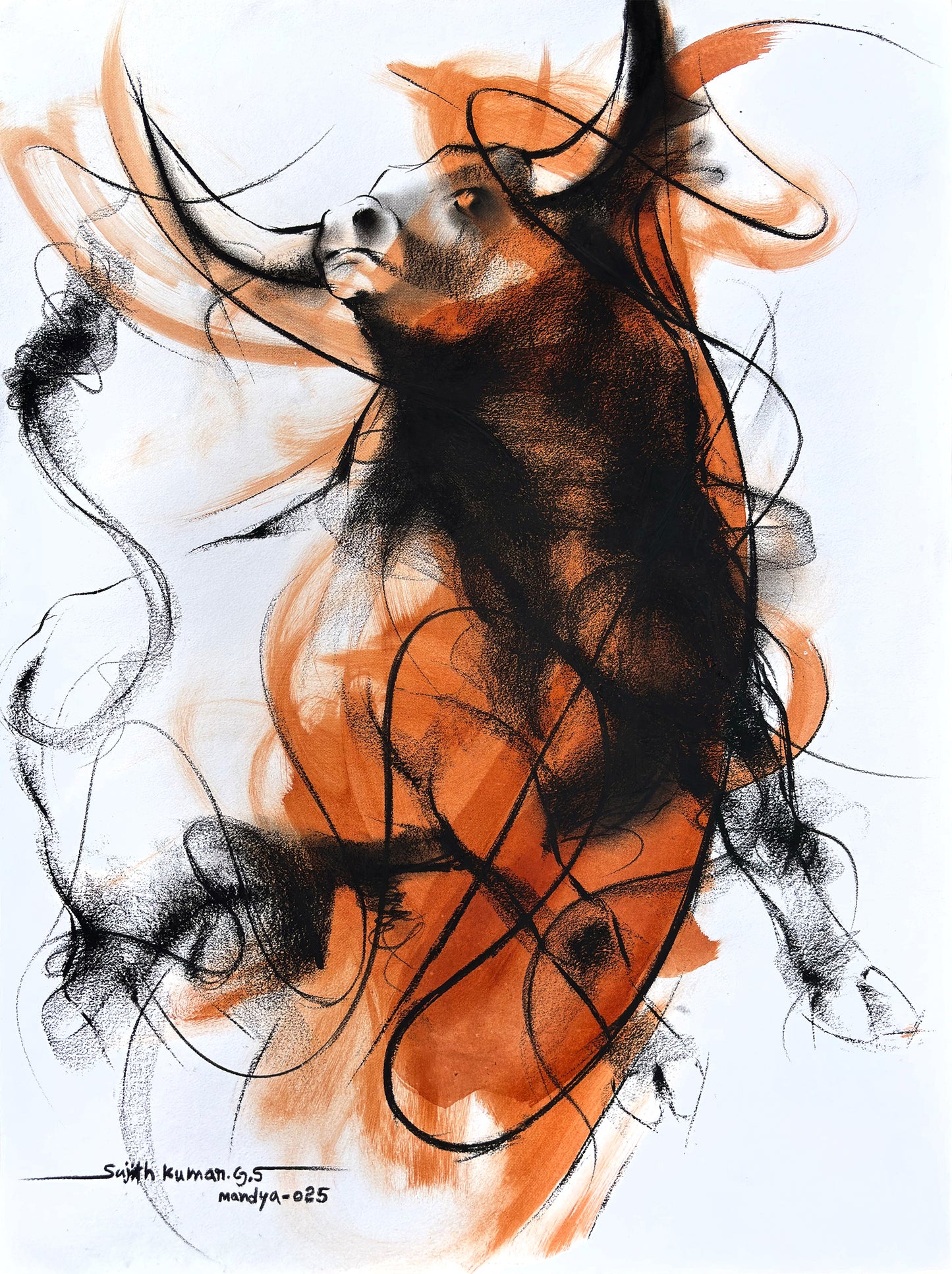 Bull-998