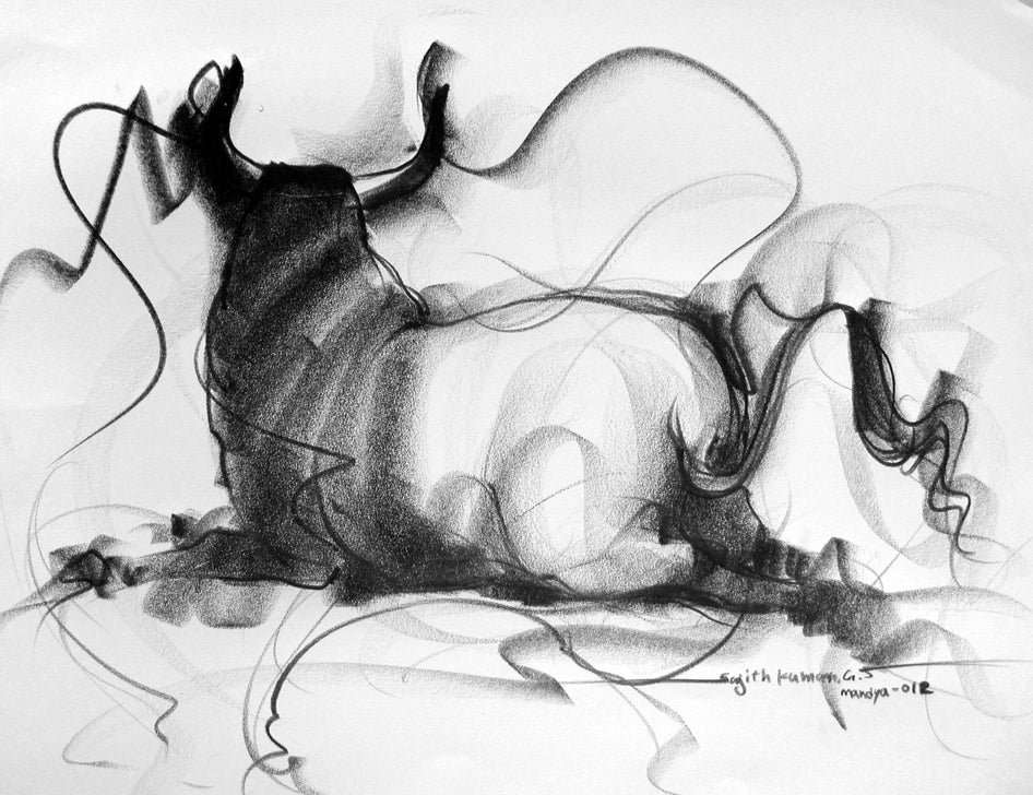 Bull Drawing-100