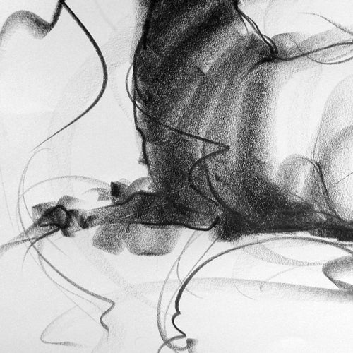 Bull Drawing-100
