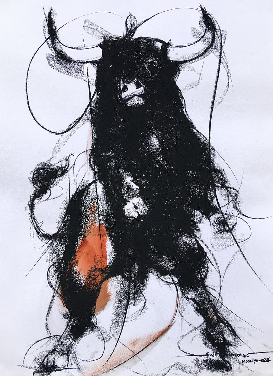 Bull Drawing-986