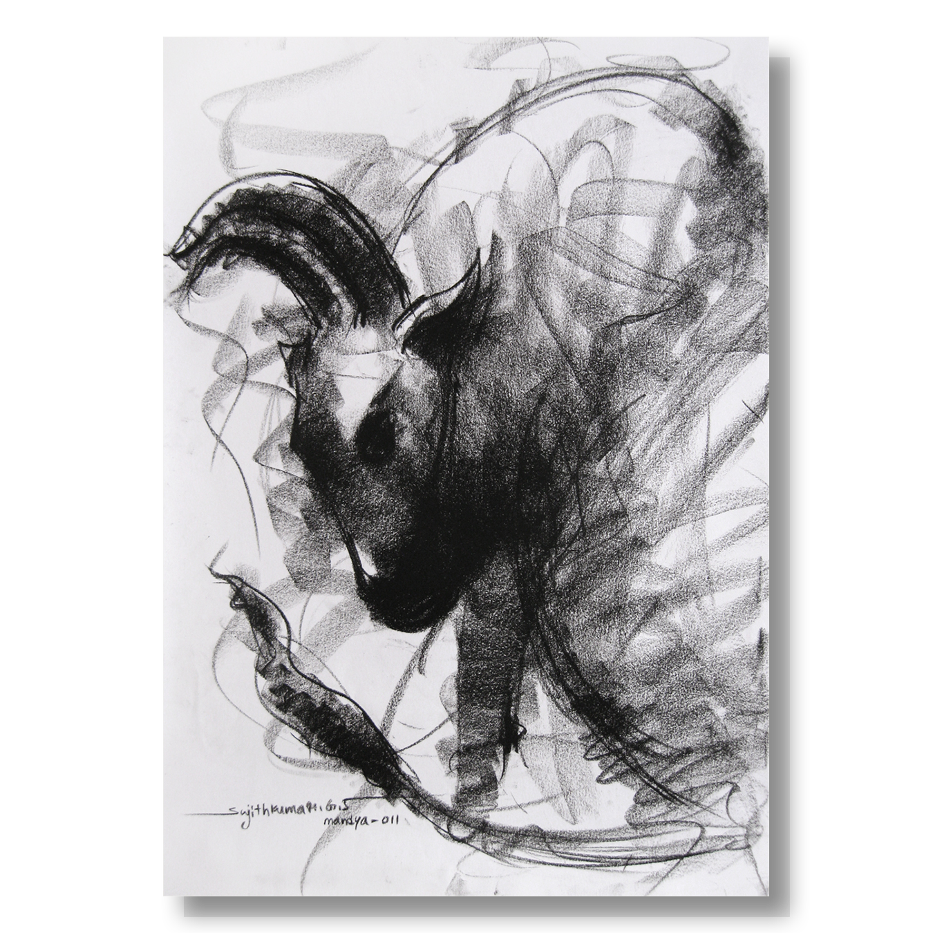 Bull Drawing-001