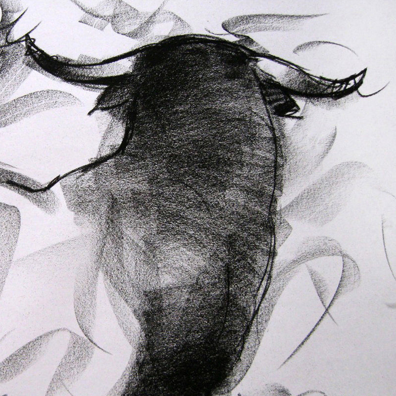 Bull Drawing-005