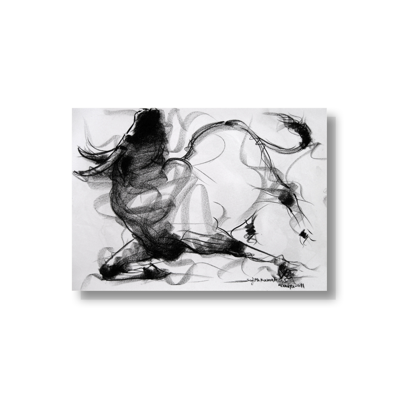 Bull Drawing-007