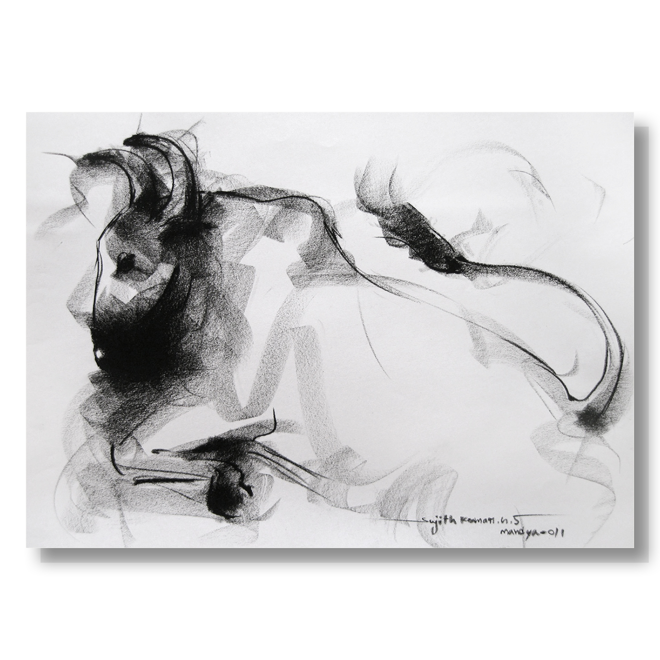 Bull Drawing-011 - SUJITH KUMAR GS MANDYA Art Studio Gallery (SKGSM Art Studio Gallery)