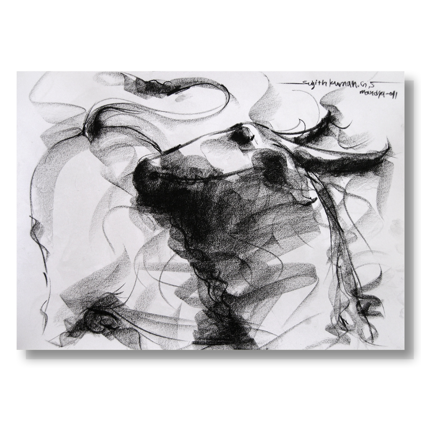 Bull Drawing-014