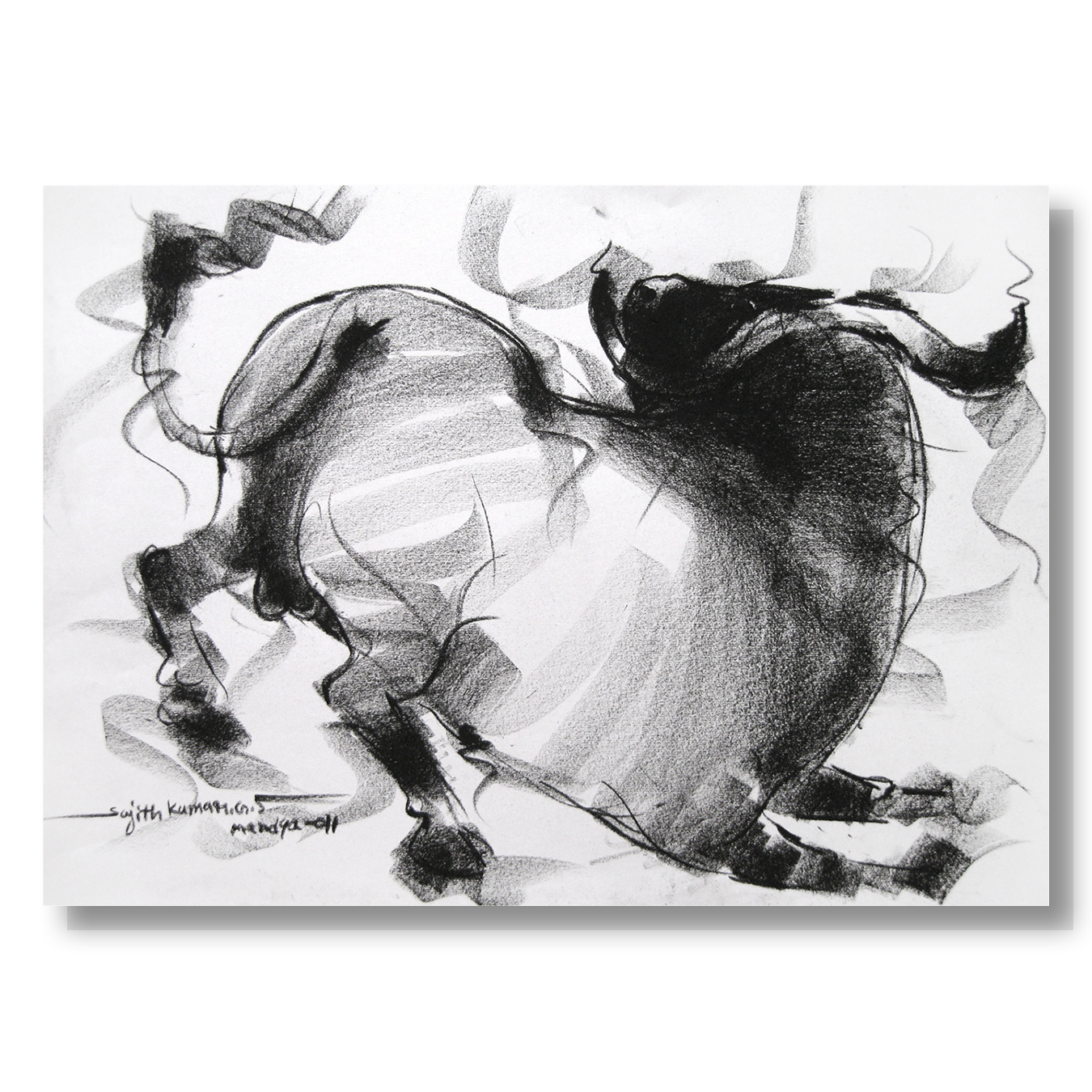Bull Drawing-019