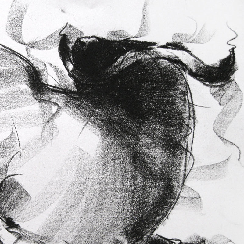 Bull Drawing-019