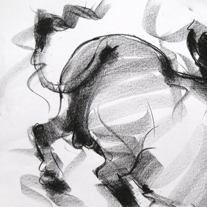 Bull Drawing-019
