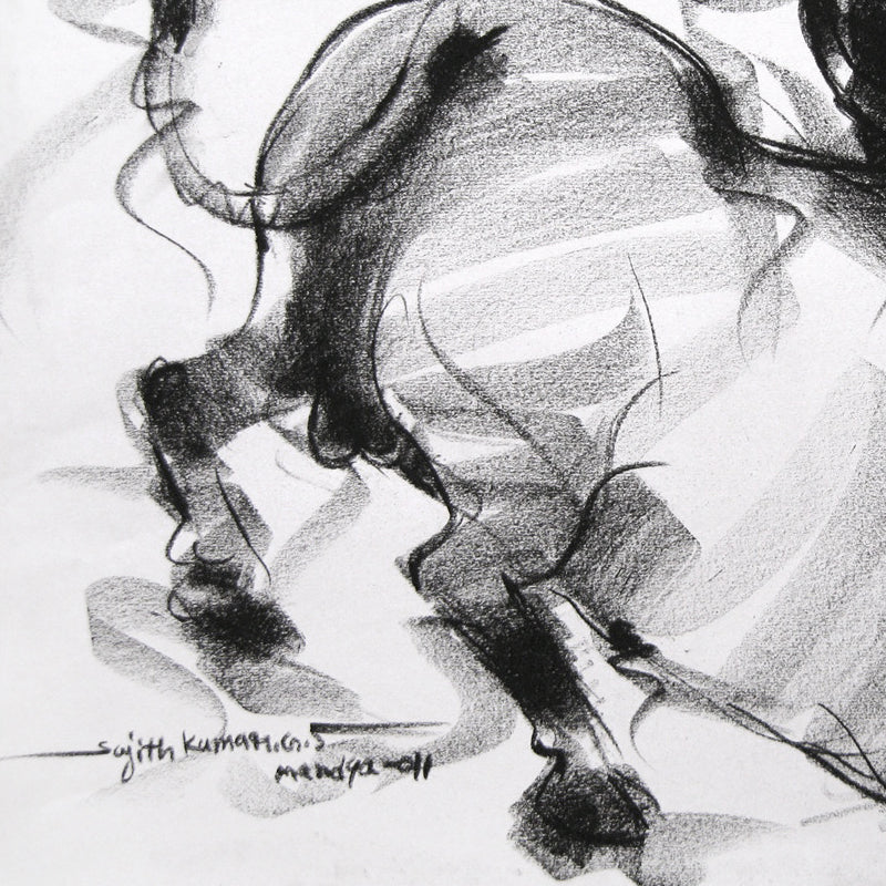 Bull Drawing-019