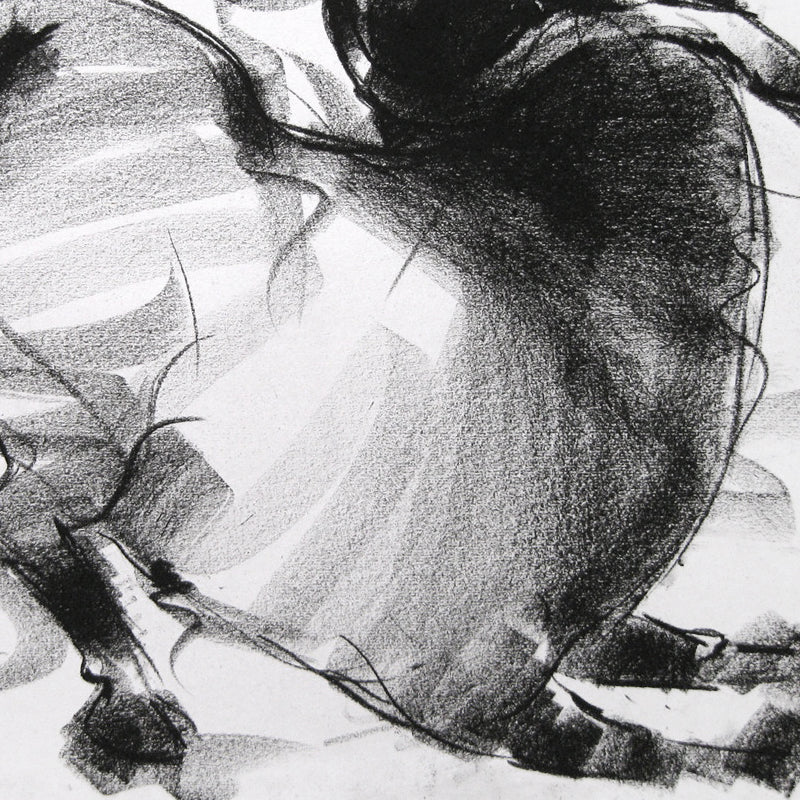 Bull Drawing-019
