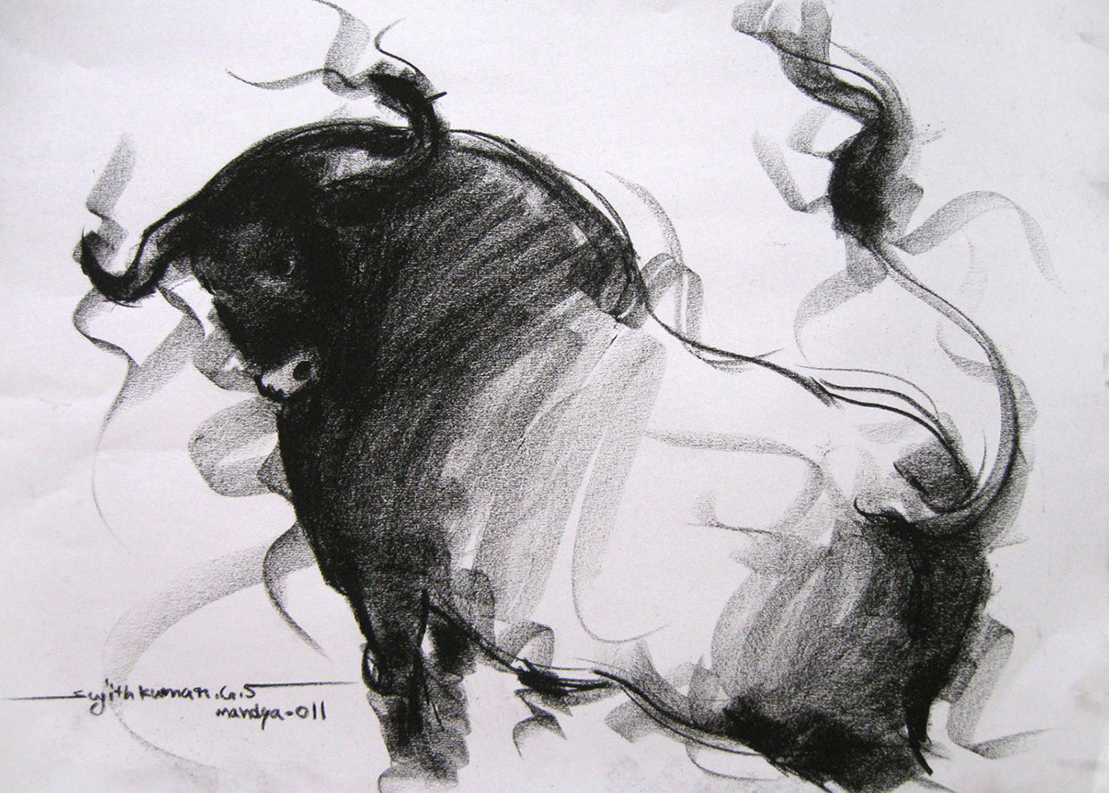 Bull Drawing-002