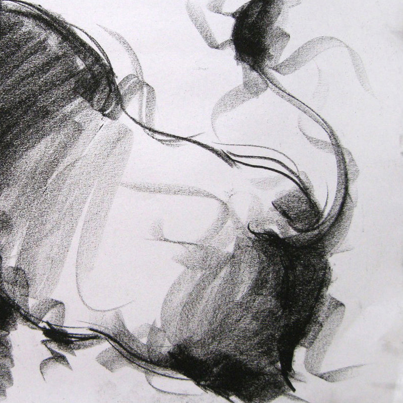 Bull Drawing-002