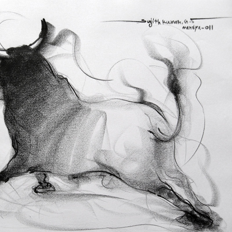 Bull Drawing-030