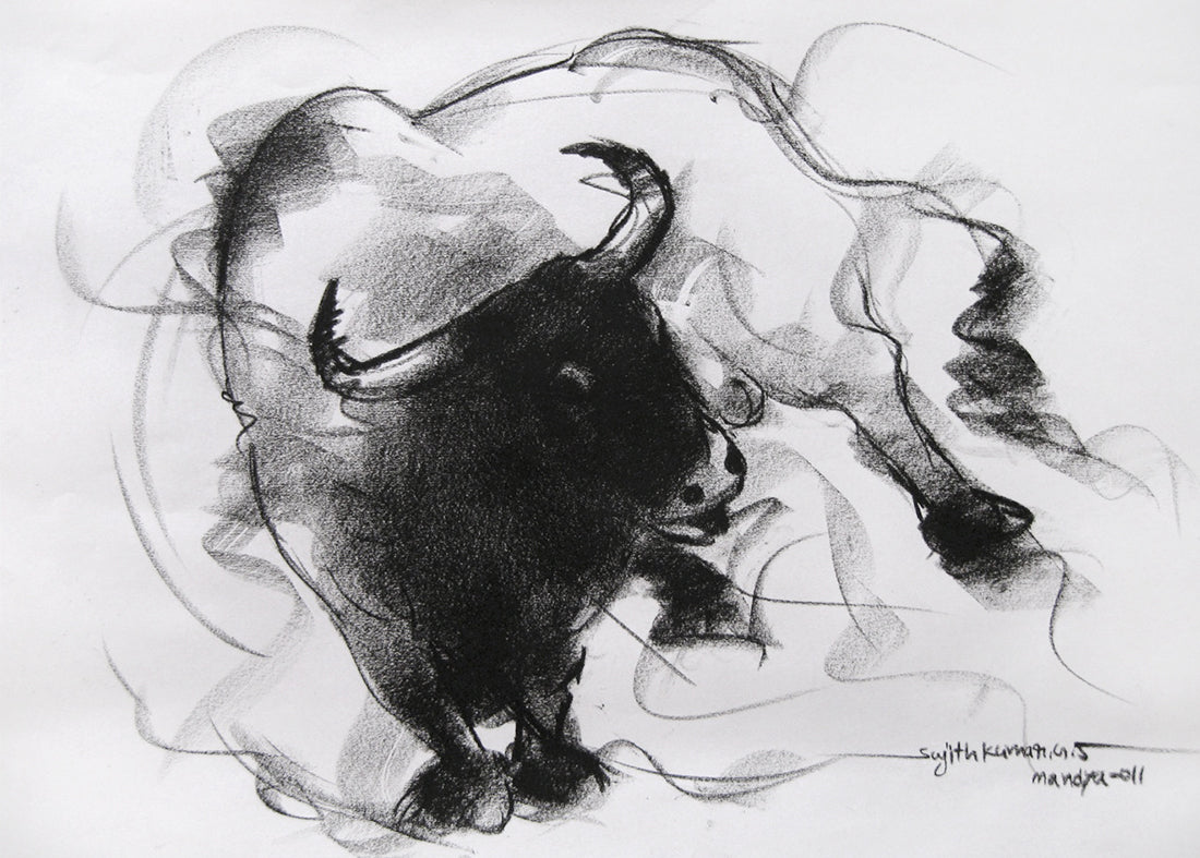 Bull Drawing-038