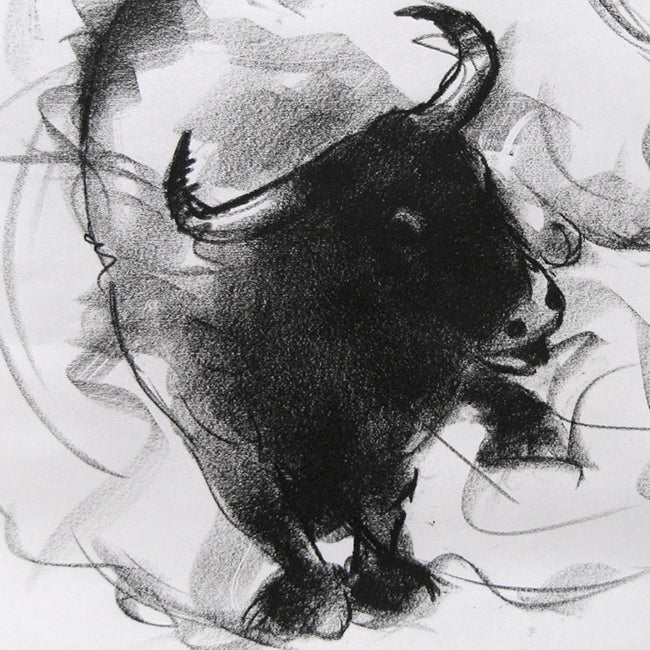 Bull Drawing-038