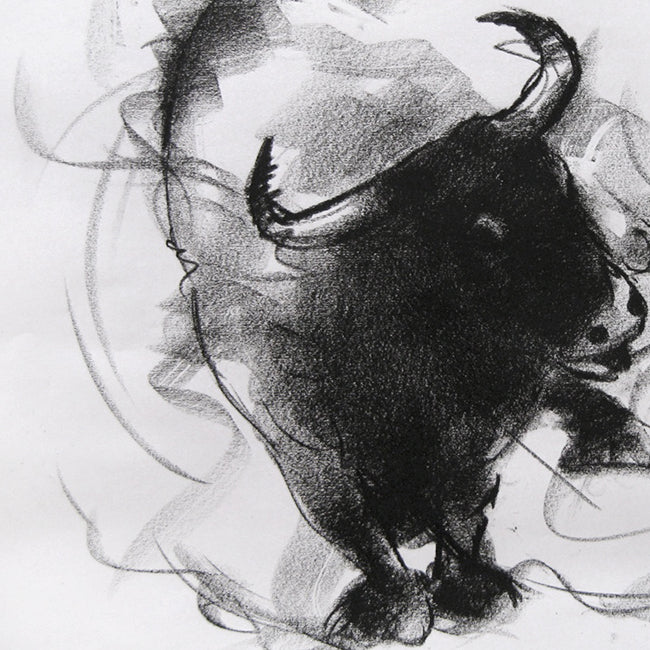 Bull Drawing-038