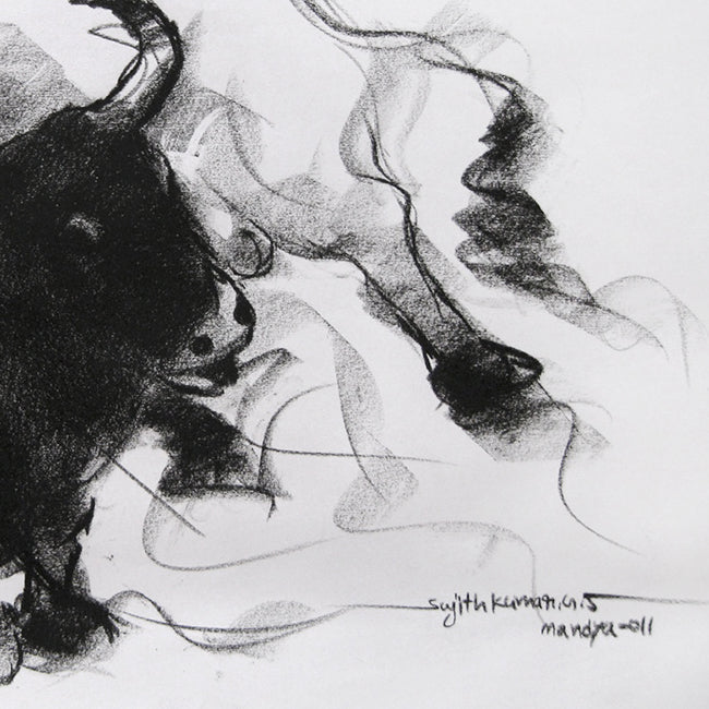 Bull Drawing-038