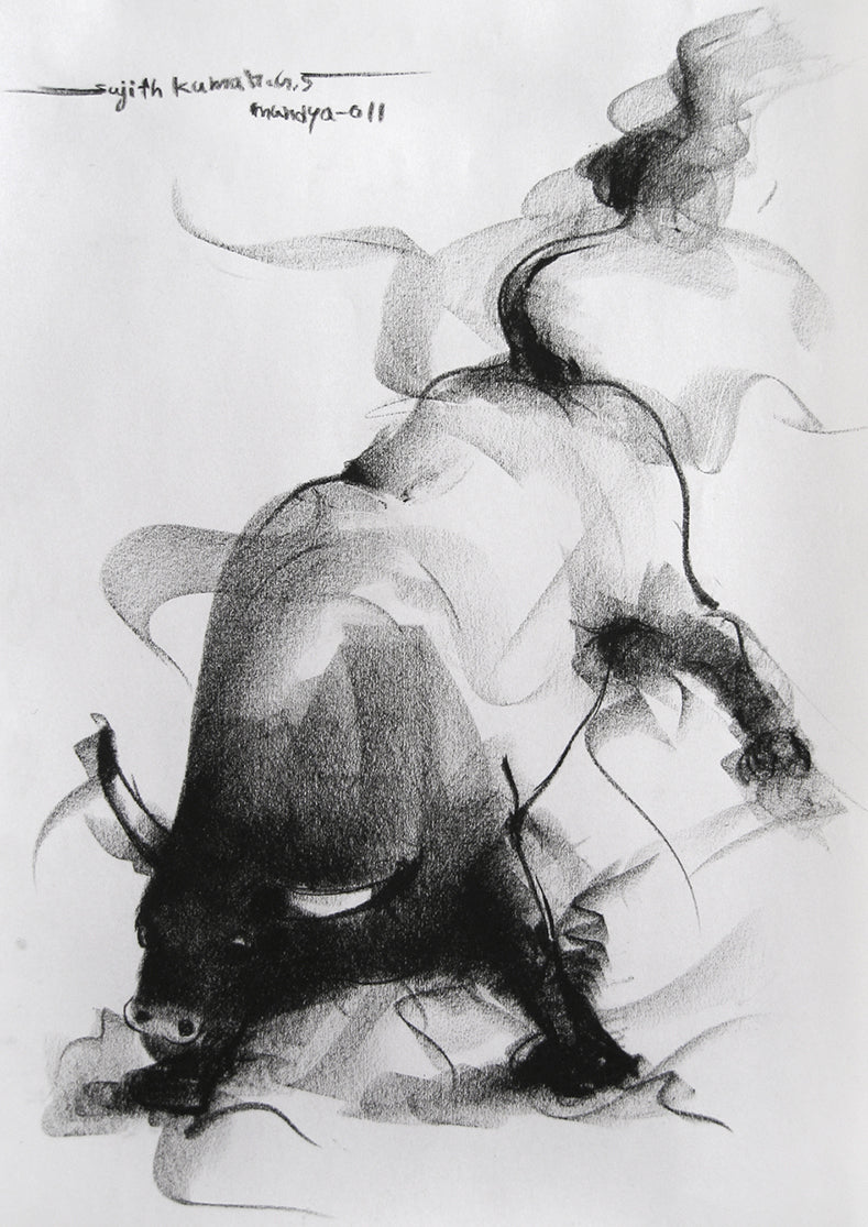 Bull Drawing-046