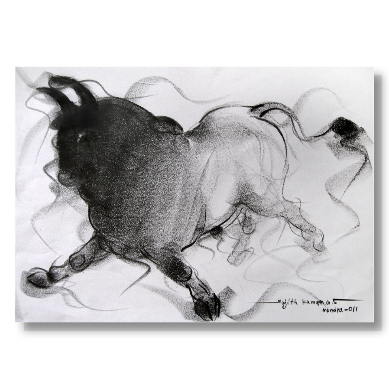 Bull Drawing-049