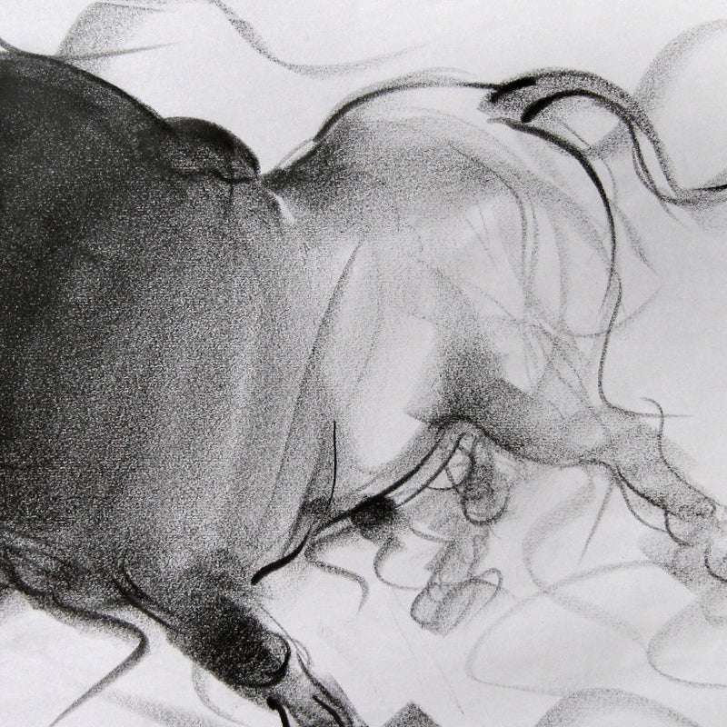 Bull Drawing-049