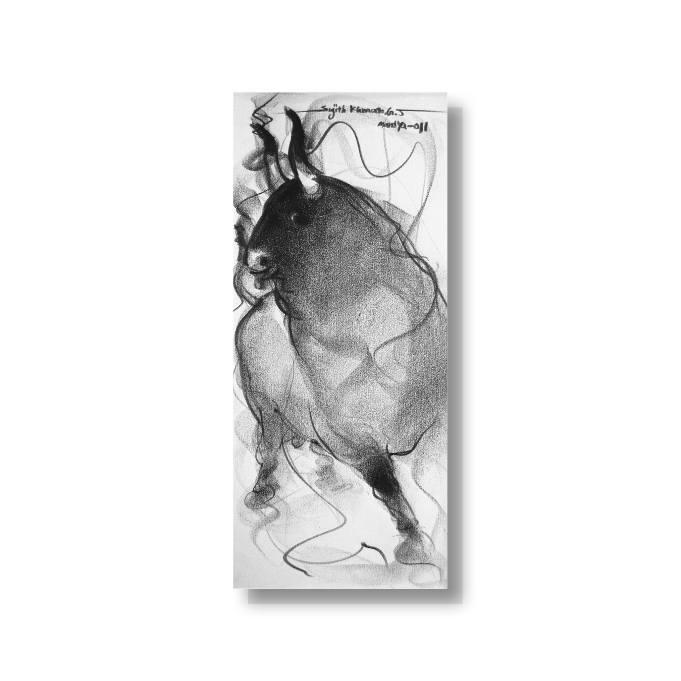 Bull Drawing-051