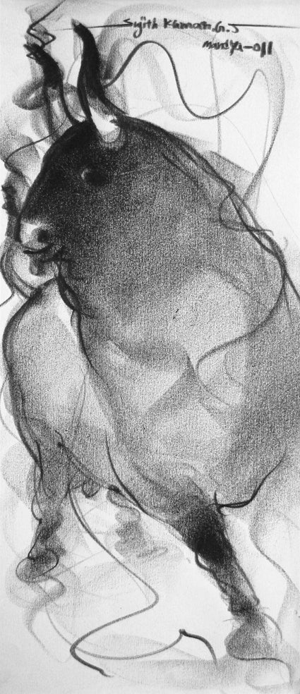 Bull Drawing-051