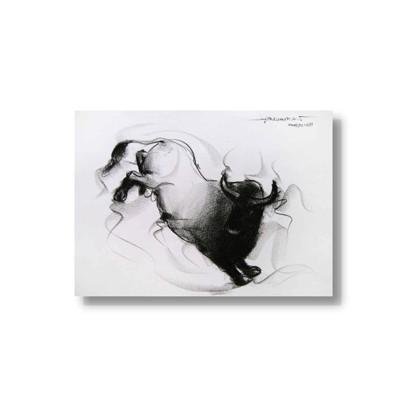 Bull Drawing-054