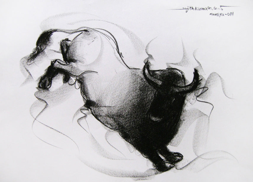 Bull Drawing-054