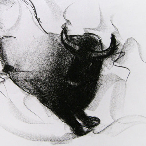 Bull Drawing-054