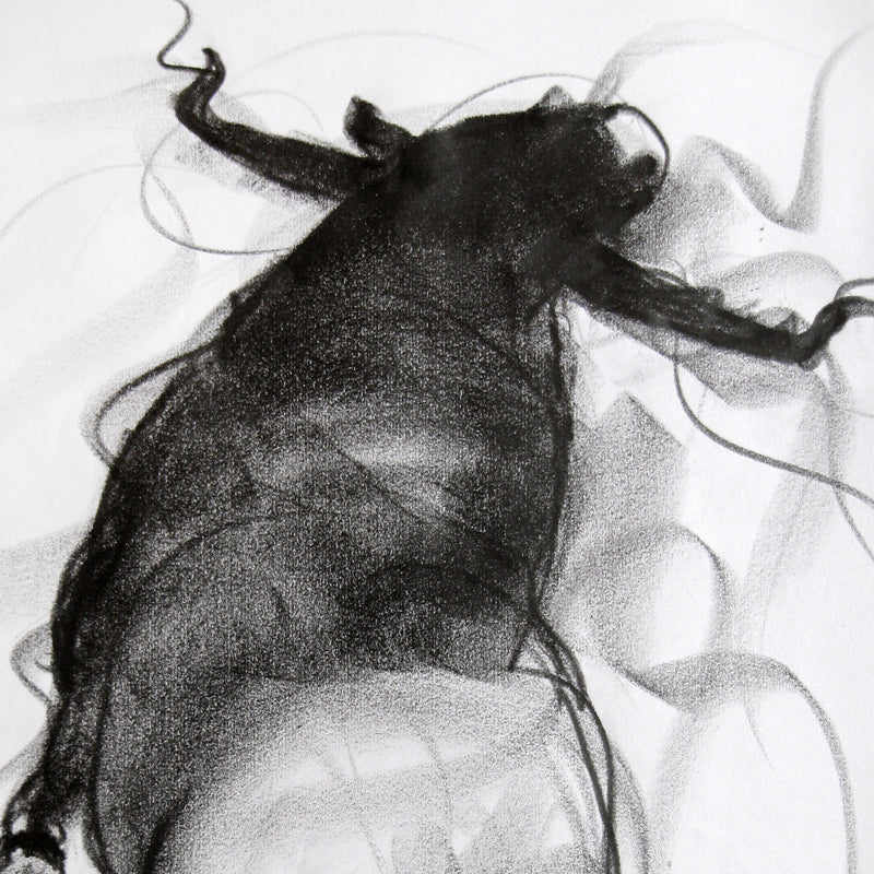 Bull Drawing-062 - SUJITH KUMAR GS MANDYA Art Studio Gallery (SKGSM Art Studio Gallery)