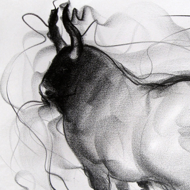 Bull Drawing-063