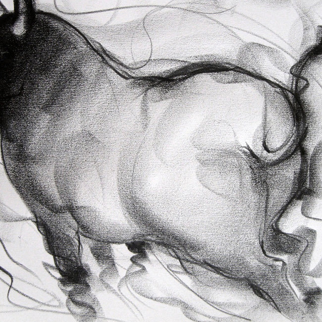 Bull Drawing-063
