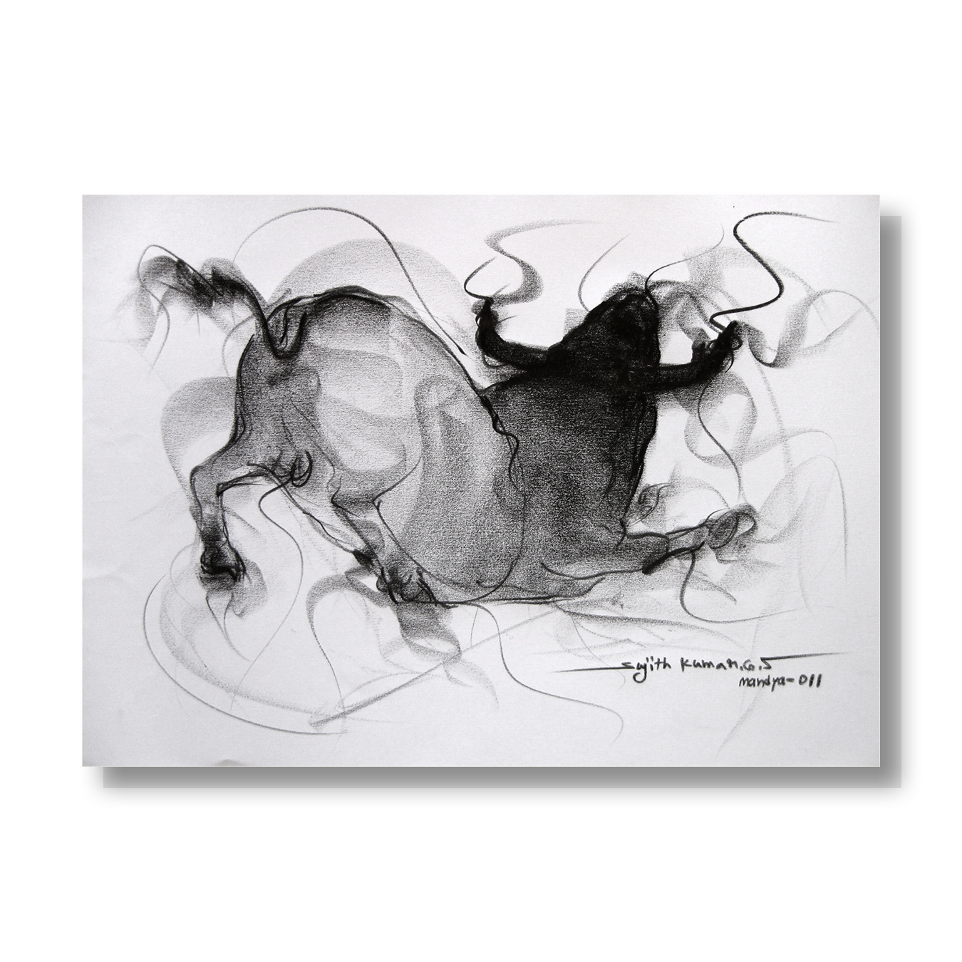 Bull Drawing-080