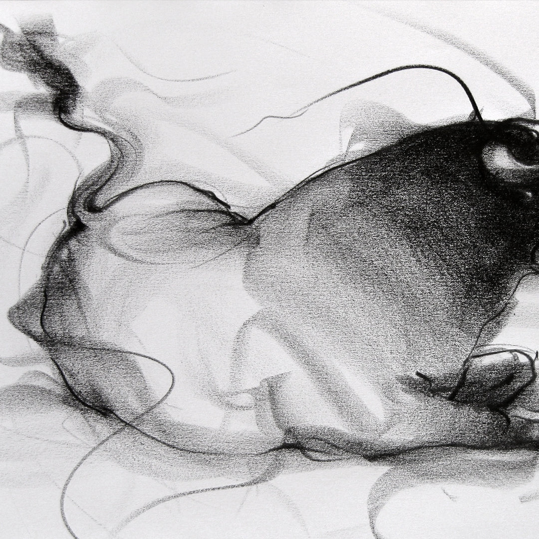 Bull Drawing-092