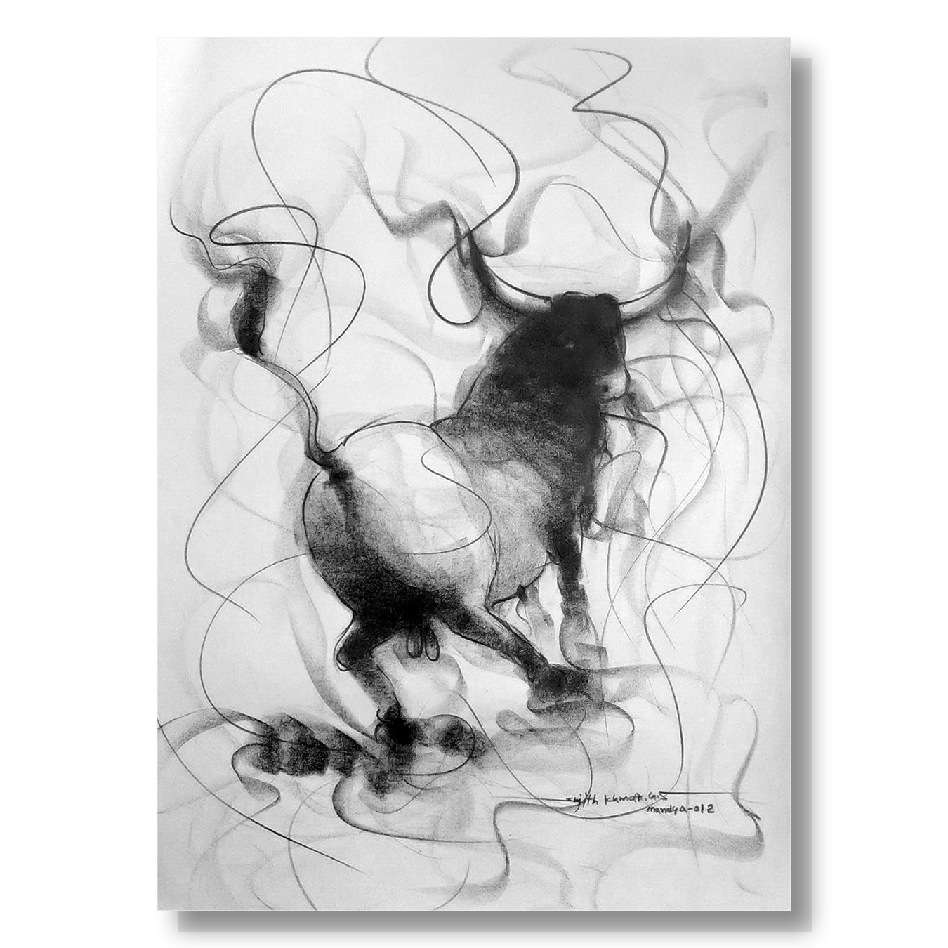 Bull Drawing-095