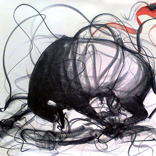 Bull Drawing-103
