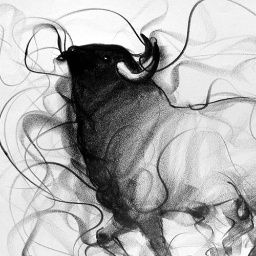 Bull Drawing-106