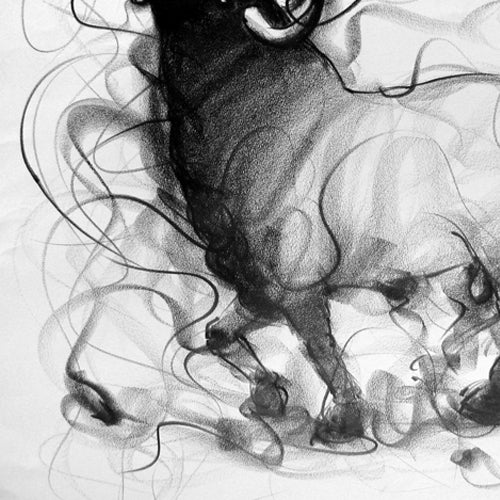 Bull Drawing-106