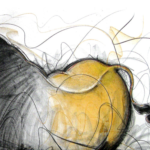 Bull Drawing-122