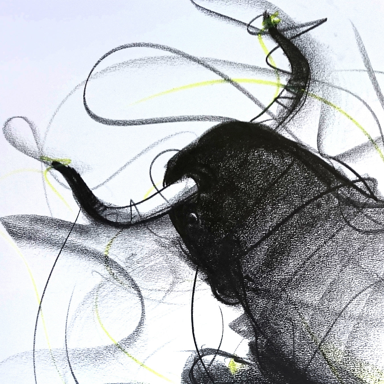Bull Drawing-603 - SUJITH KUMAR GS MANDYA Art Studio Gallery (SKGSM Art Studio Gallery)