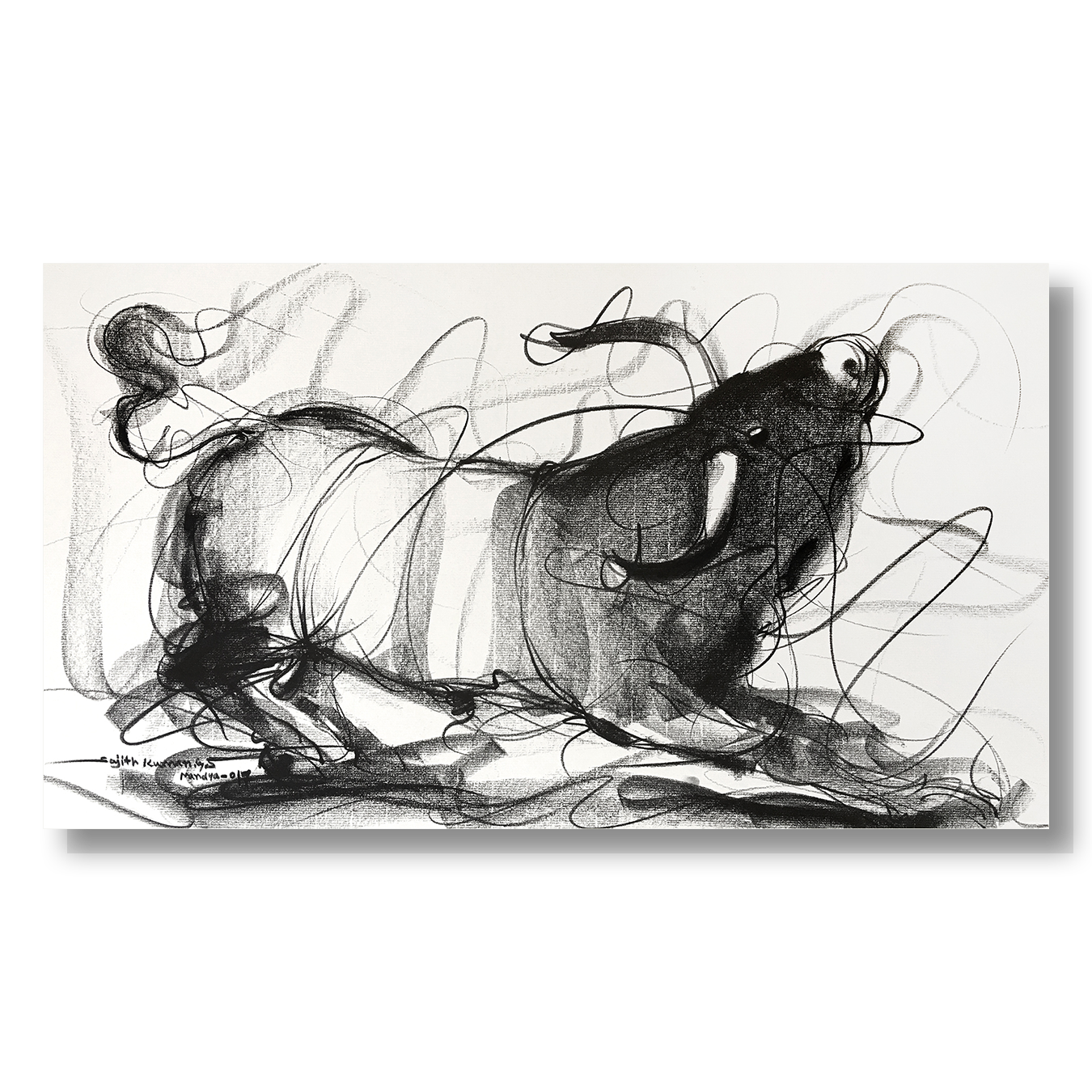 Bull Drawing-642