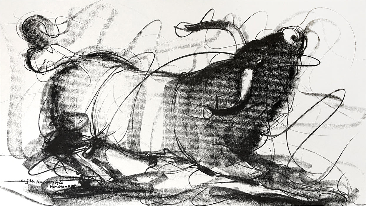 Bull Drawing-642