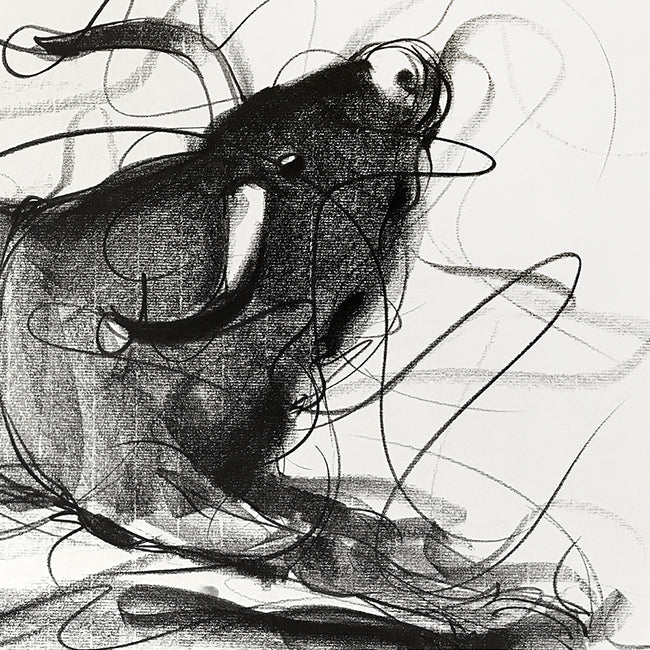 Bull Drawing-642